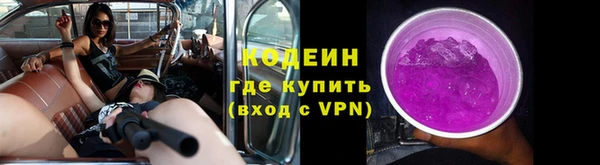 СК Корсаков