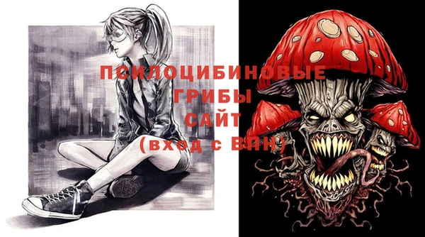 СК Корсаков