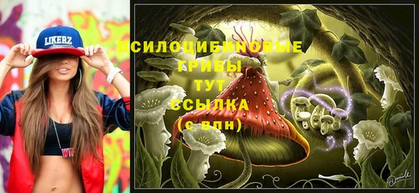 PSILOCYBIN Костерёво