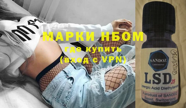 стаф Коряжма