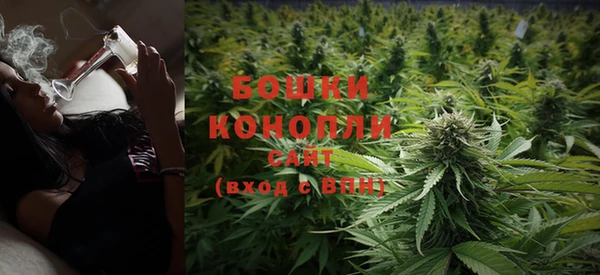 PSILOCYBIN Костерёво