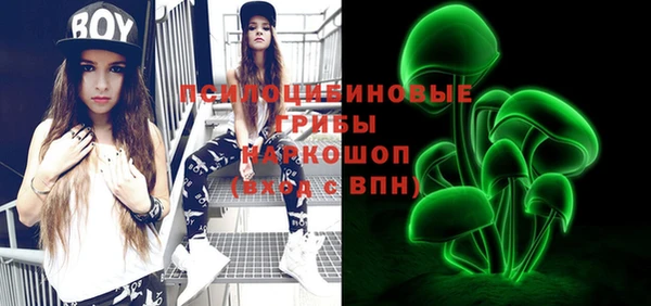PSILOCYBIN Костерёво