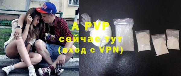 стаф Коряжма
