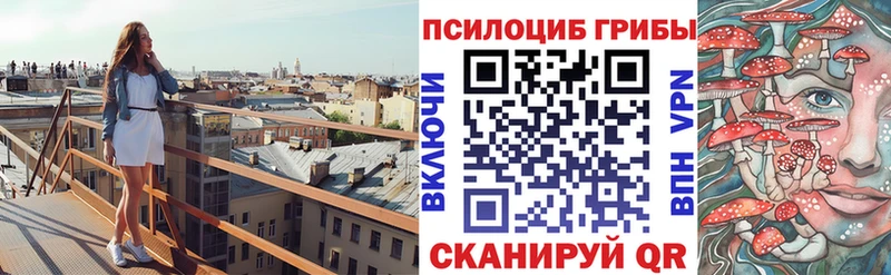 Купить закладки  Буй  Псилоцибиновые грибы Magic Shrooms 